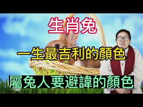 屬兔適合顏色|兔年必穿顏色指南